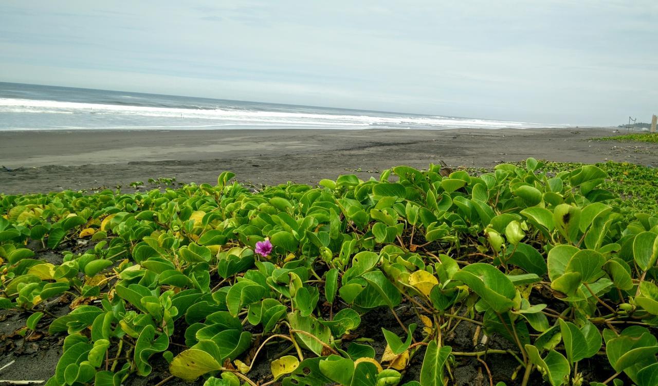 Eco-Hotel Playa Quilombo Las Lisas Kültér fotó