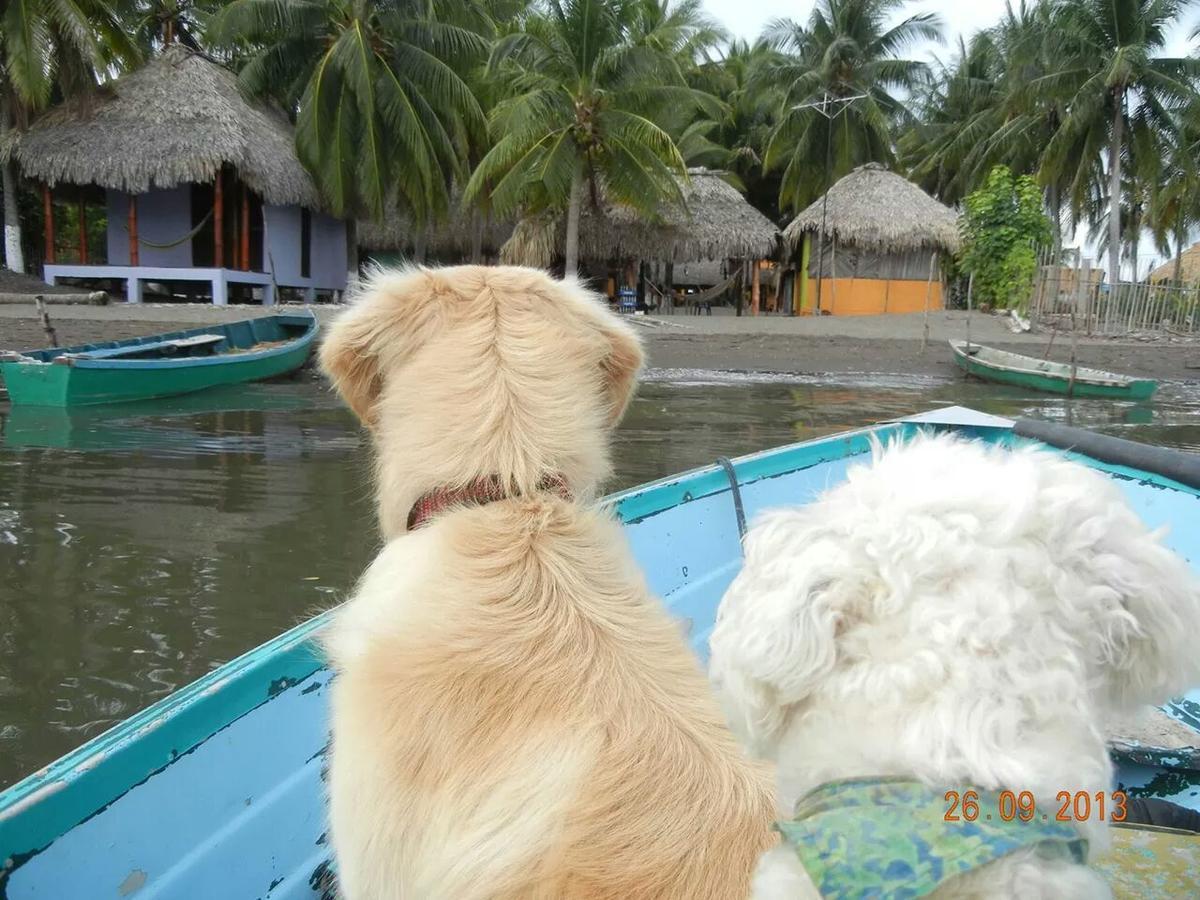 Eco-Hotel Playa Quilombo Las Lisas Kültér fotó