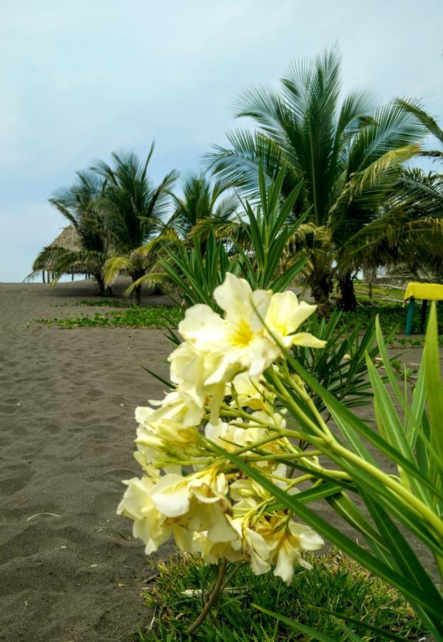 Eco-Hotel Playa Quilombo Las Lisas Kültér fotó